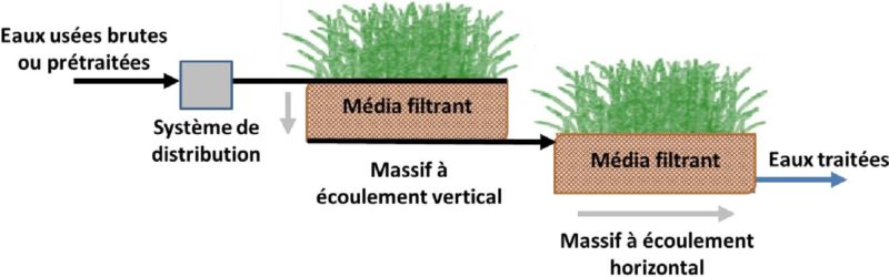 filtrant-massif-plante